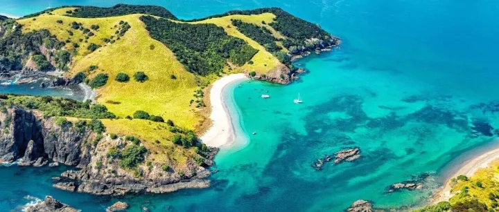 新西兰·岛屿湾 | 金冠#1374 银冠#1479/RD67