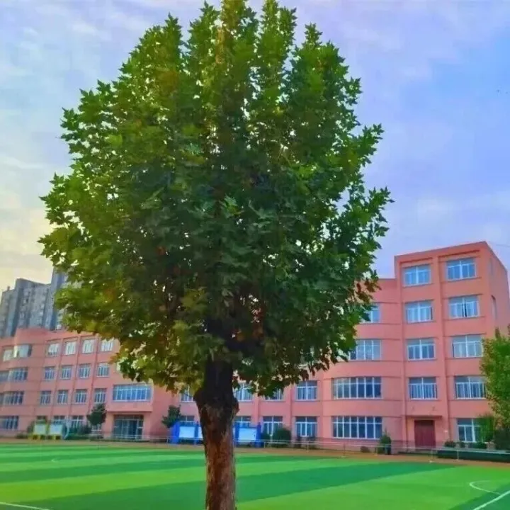 西安市周至县西街小学招聘公告