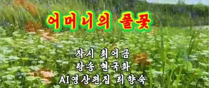 | 영<em>상</em><em>시</em> | 어머니의 풀꽃