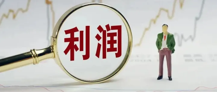 透视利润表象：以毛利率和净利率优化经营决策体系