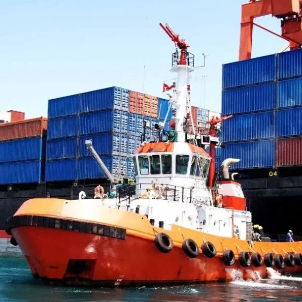 突发！意大利撞船事故致引航员不幸遇难，全港大罢工