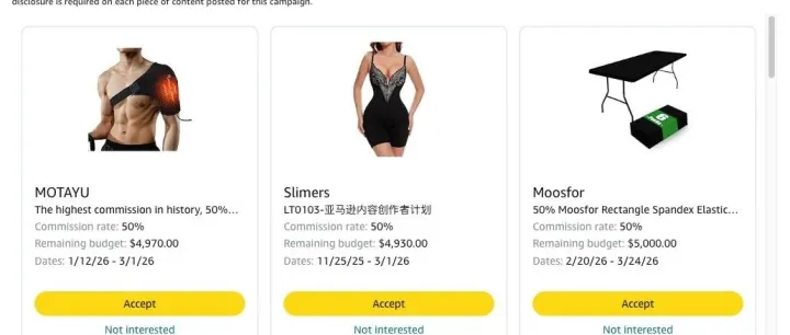 亚马逊联盟的优势