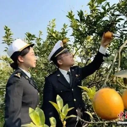 “中国红橙之乡”广东廉江“国宴佳果”香飘东盟