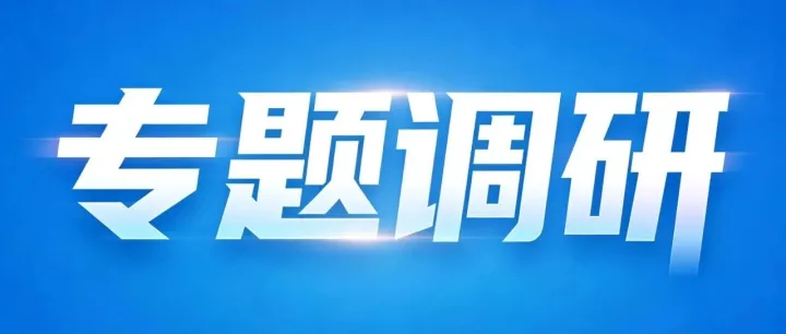 省商務(wù)廳廳長(zhǎng)龍小紅赴漢歐國(guó)際調(diào)研