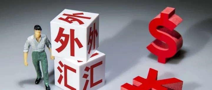 <em>外汇</em>投资风险与回报