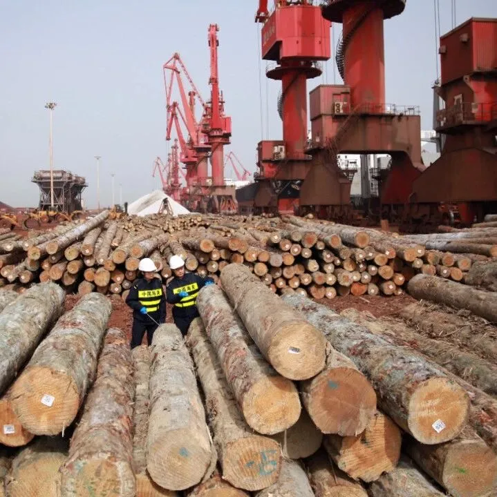 <em>山东</em>日照：“过路木头”实现<em>产业</em>扎根