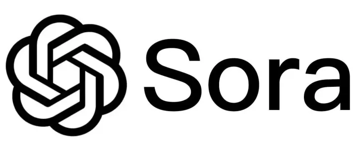 视频生成大模型Sora的演进