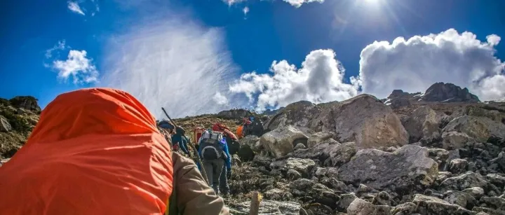 哪些行业建议重点考虑日本市场？