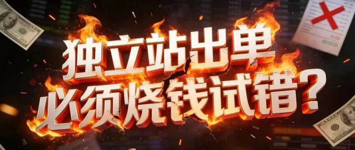 識別持續(xù)出單的獨(dú)立站，不再燒錢試錯！