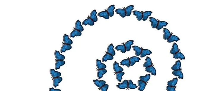 欧盟为何突然加码越南