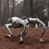 宇树科技发布新一代四足机器人As2