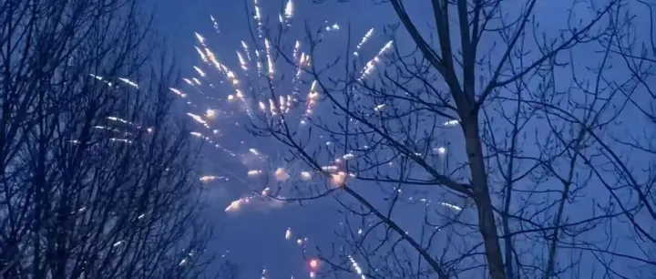 马年回乡记：TEMU路上的碎玻璃与星光