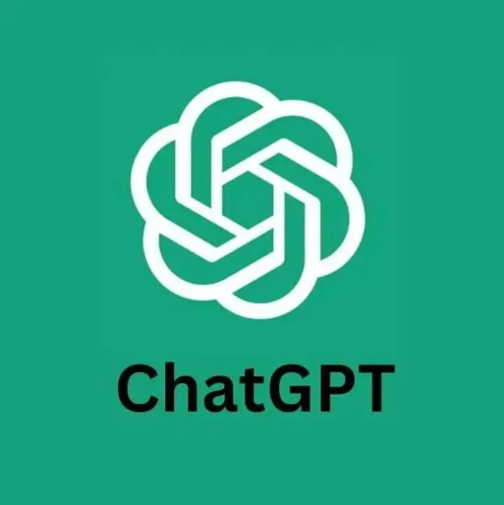 <em>ChatGPT</em> Plus Business 版充值