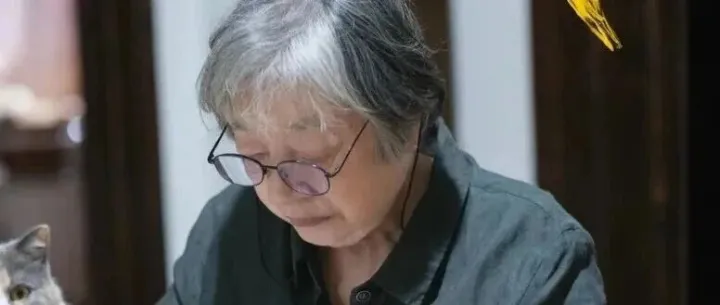 86岁作家杨本芬承认抄袭