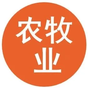 认养一头牛集团 | 2026届多方向管培生春季校园招聘正在进行中！