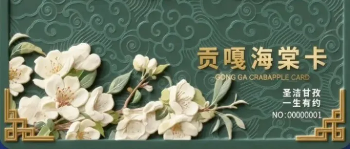 四川<em>甘孜</em>一次购票终身免费，究竟如何“回本”？