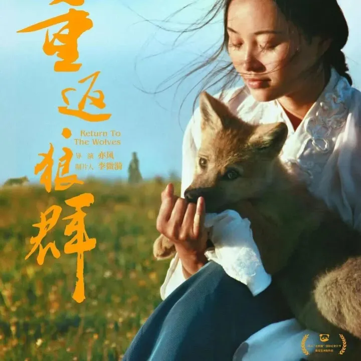 【即将上映】电影《重返狼群》官宣2月19日重映 狼王格林与人类羁绊感动数千万人