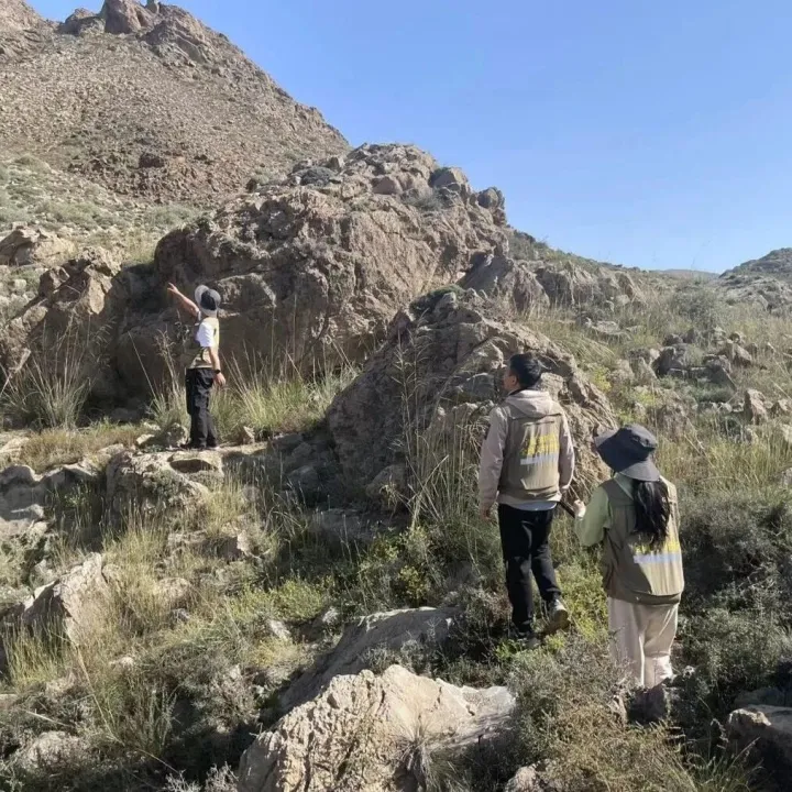 塞上寻珍·四普进行时：山野寻迹 一路初心一路暖