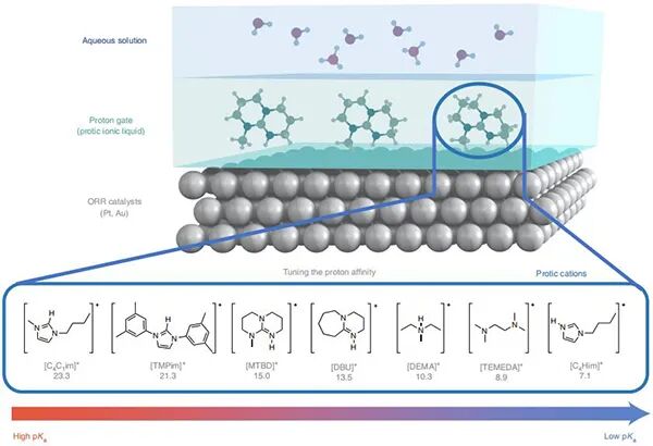 麻省理工邵阳Nature Catalysis:通过调节界面氢键增强ORR电催化作用- 大数跨境