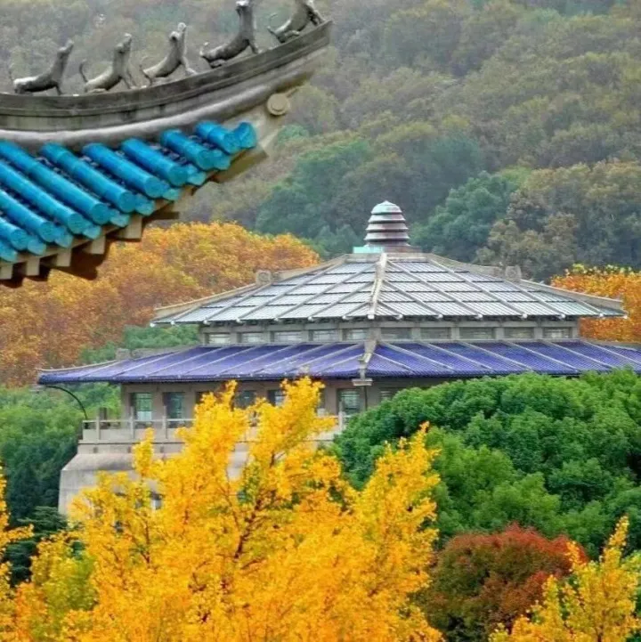 喜报｜城市设计学院荣获“武汉大学2025年研究生学术科技活动”优秀组织单位！