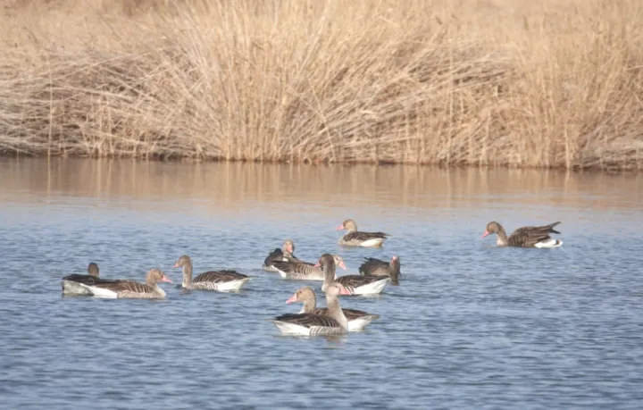 已到达<em>嘉峪关</em>