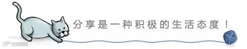 猫抓毛线球引导分享