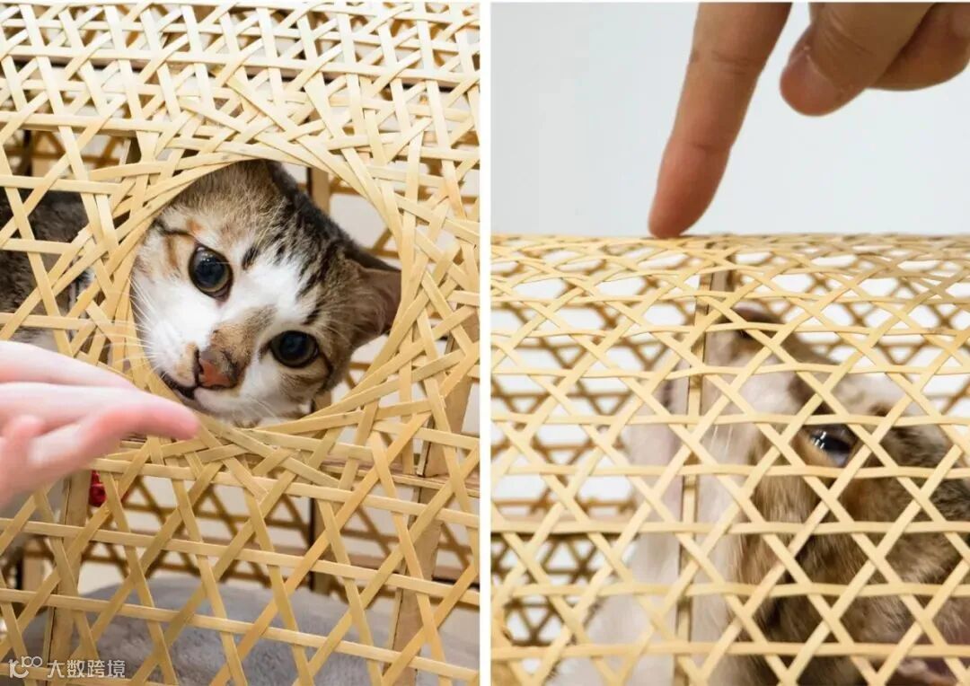 揭晓 | 2020金点新秀设计奖 工业设计类获奖作品赏析