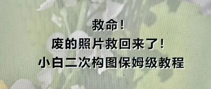 救命！拍废的照片救回来了！小白二次构图保姆级教程