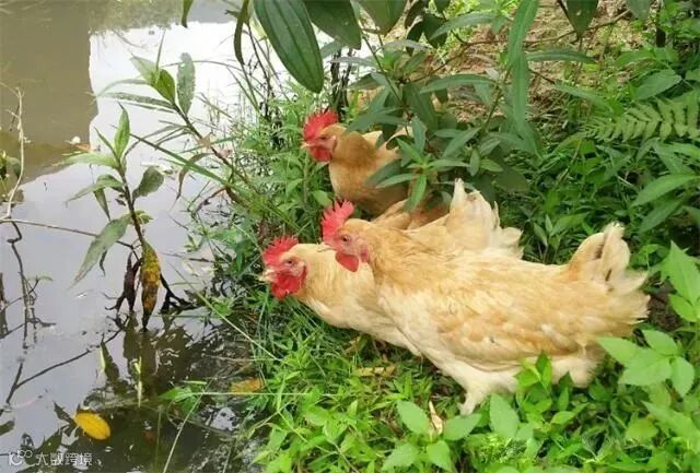 未标题-3 拷贝.jpg