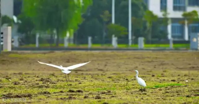 webwxgetmsgimg (1).jpg