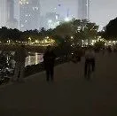 深圳湾公园晚上“黑灯瞎火”被吐槽，公园管理中心回应：为了让鸟儿睡好觉，主要出入口等地保留了基础照明