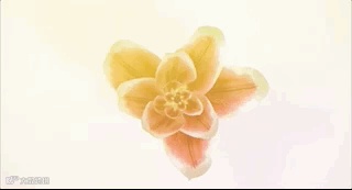 4月-20-2018 15-27-18.gif