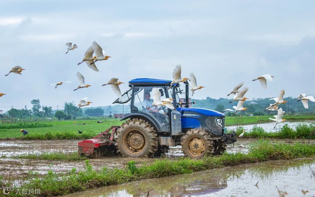 作品名称  ；和谐春耕 ；作者姓名 ；沈德奎 ；联系电话 ；15015080729.jpg