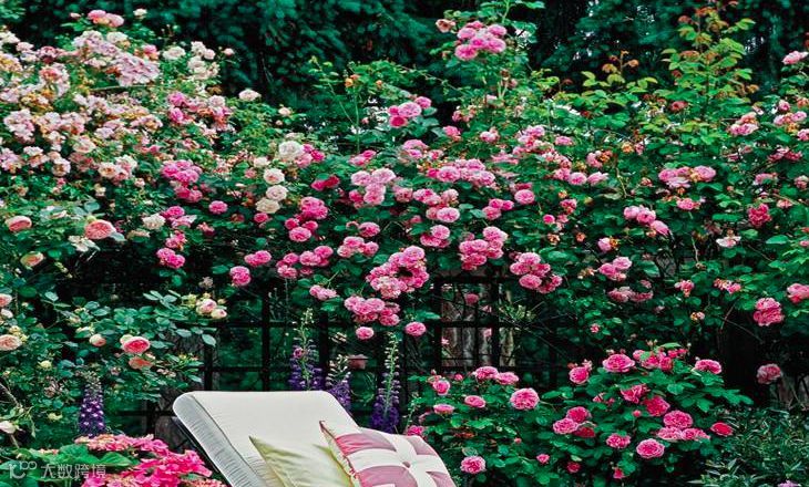 屏幕快照 2018-06-29 下午12.09.44.png