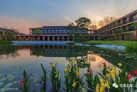 点击查看源网页