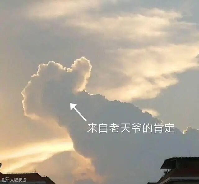 点击查看源网页