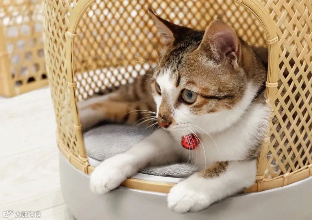 揭晓 | 2020金点新秀设计奖 工业设计类获奖作品赏析