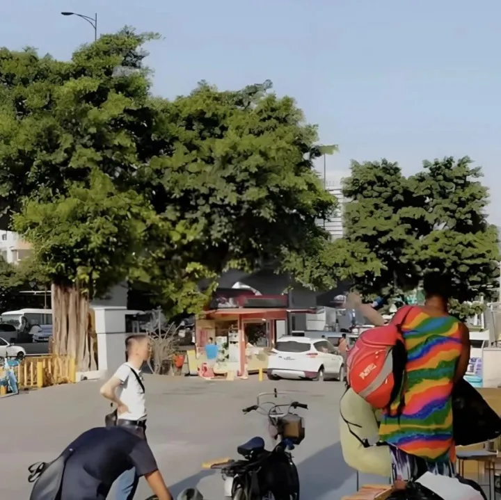 2025年广东与非洲进出口超3000亿元，同比增长10.7%