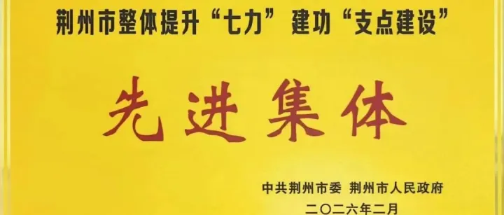 荆州机场荣获荆州市“整体提升‘七力’建功‘支点建设’先进集体”称号