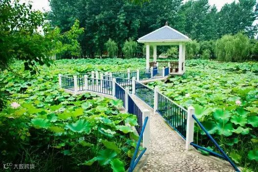 合肥水滨庄园拓展培训基地