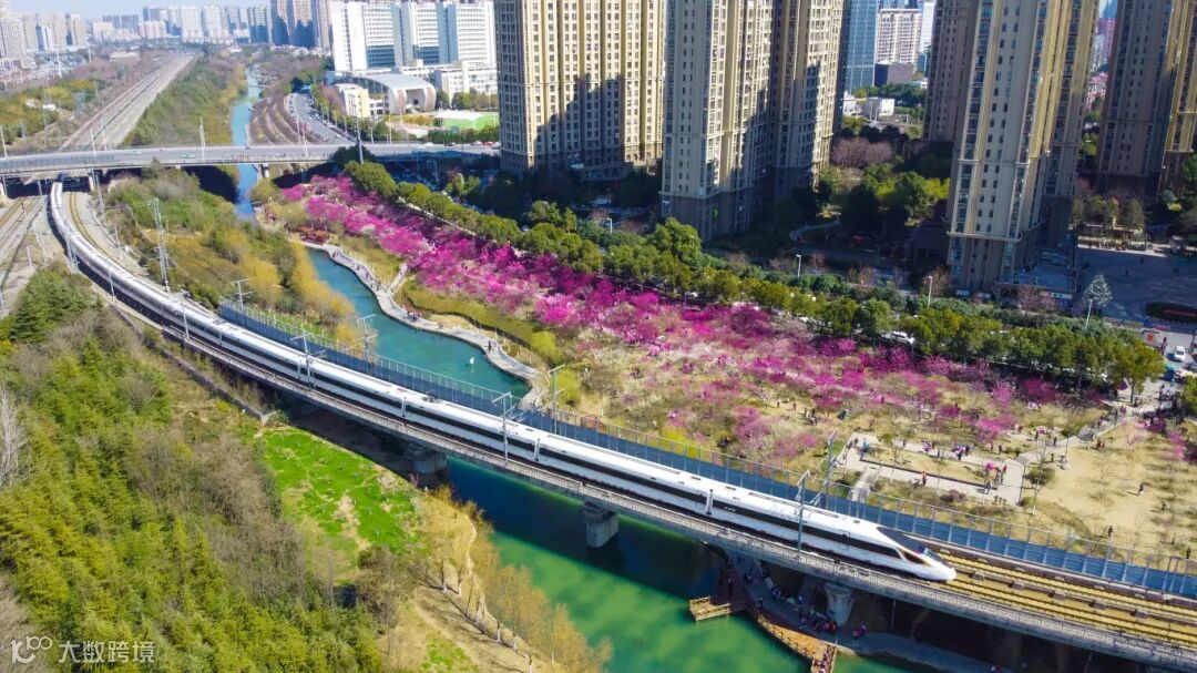 3.复兴号从合肥南站出发，穿越合肥匡河公园花海，驶向北京 吕晋 摄.jpg
