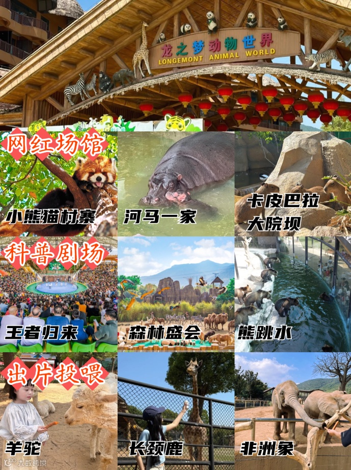 旅游攻略图框花字小红书配图(2) (1).png