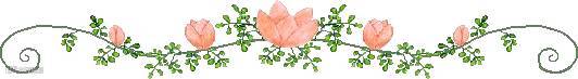粉丝花朵藤蔓分割线