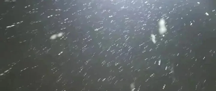 <em>阜阳</em>下雪了！