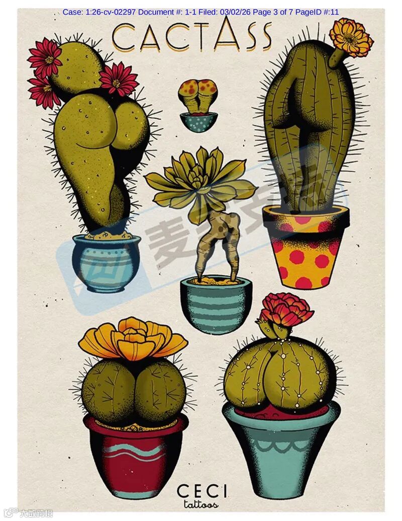 6-cv-02297，性感植物版權(quán)跨境維權(quán)，你的店鋪是否有TRO凍結(jié)風(fēng)險(xiǎn)？"