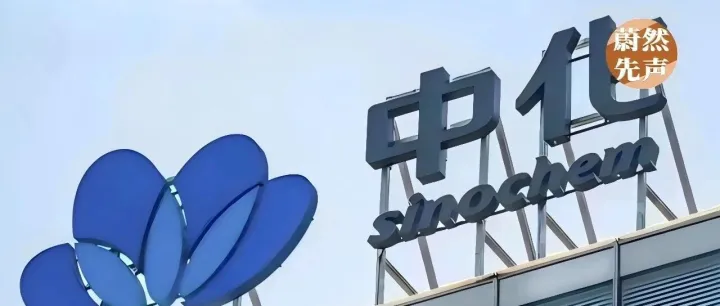 中化国际把力气使对地方了