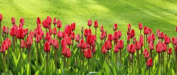 找对象为什么这么难？