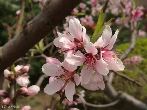 【文化义工】刘霞散文"清清凉凉的春雨中 wbr烦扰渐行渐远"