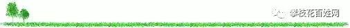 绿色小树草地分割线