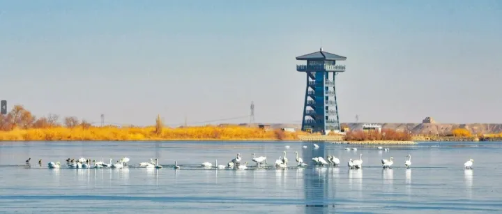 抵达<em>嘉峪关</em>！